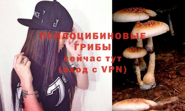 спиды Володарск