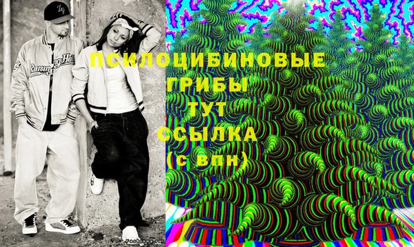 прущий лед Вязники
