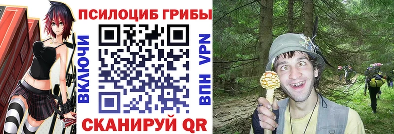 Галлюциногенные грибы Magic Shrooms Гусев